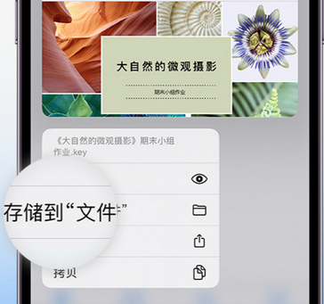 淅川apple维修中心分享iPhone文件应用中存储和找到下载文件