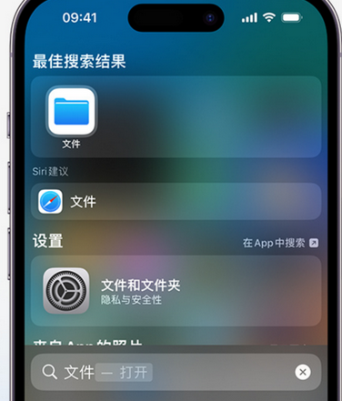 淅川apple维修中心分享iPhone文件应用中存储和找到下载文件 