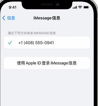 淅川apple维修iPhone上无法正常发送iMessage信息 