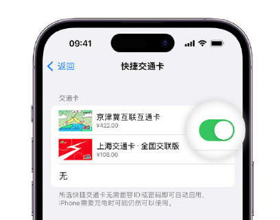 淅川apple维修点分享iPhone上更换Apple Pay快捷交通卡手绘卡面 