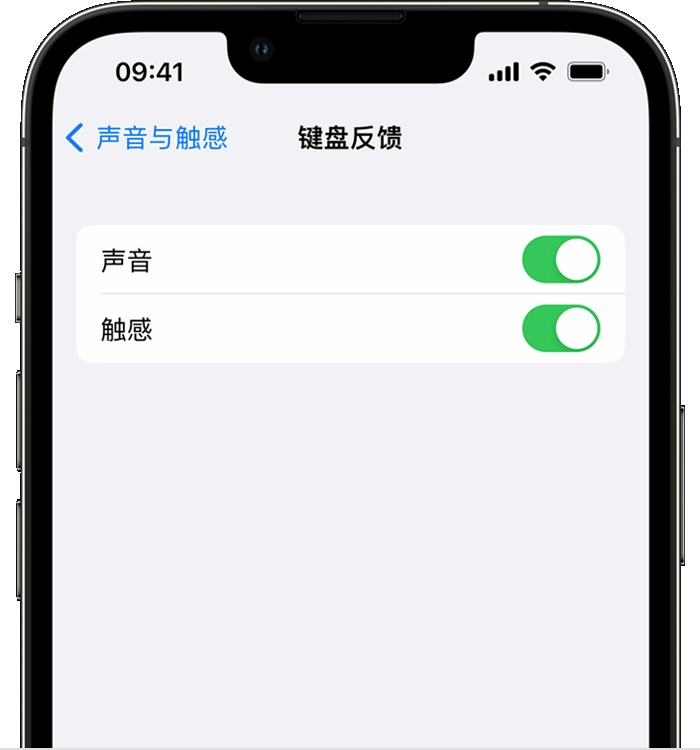 淅川苹果14维修店分享如何在 iPhone 14 机型中使用触感键盘 