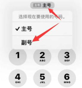 淅川苹果14维修店分享iPhone 14 Pro Max使用副卡打电话的方法 