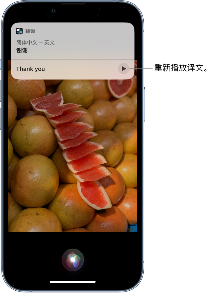 淅川苹果14维修分享 iPhone 14 机型中使用 Siri：了解 Siri 能帮你做什么 