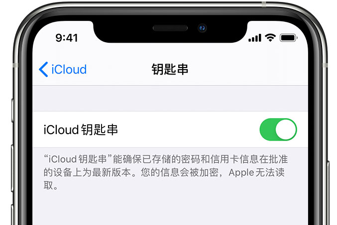 淅川苹果手机维修分享在 iPhone 上开启 iCloud 钥匙串之后会储存哪些信息 