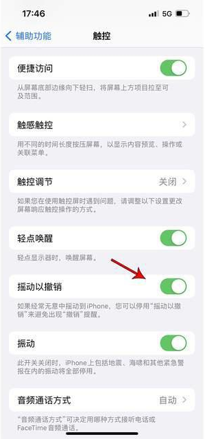 淅川苹果手机维修分享iPhone手机如何设置摇一摇删除文字 