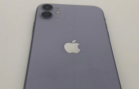 淅川苹果11系统维修分享iPhone11手机系统崩溃无法开机如何解决